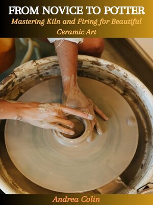cover image of FROM NOVICE TO POTTER